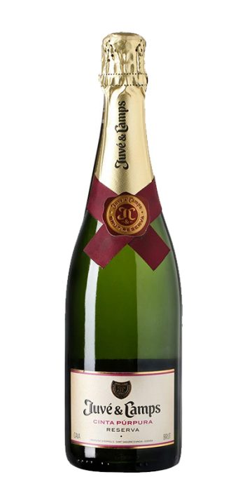 Juvé & Camps Essential Púrpura Reserva